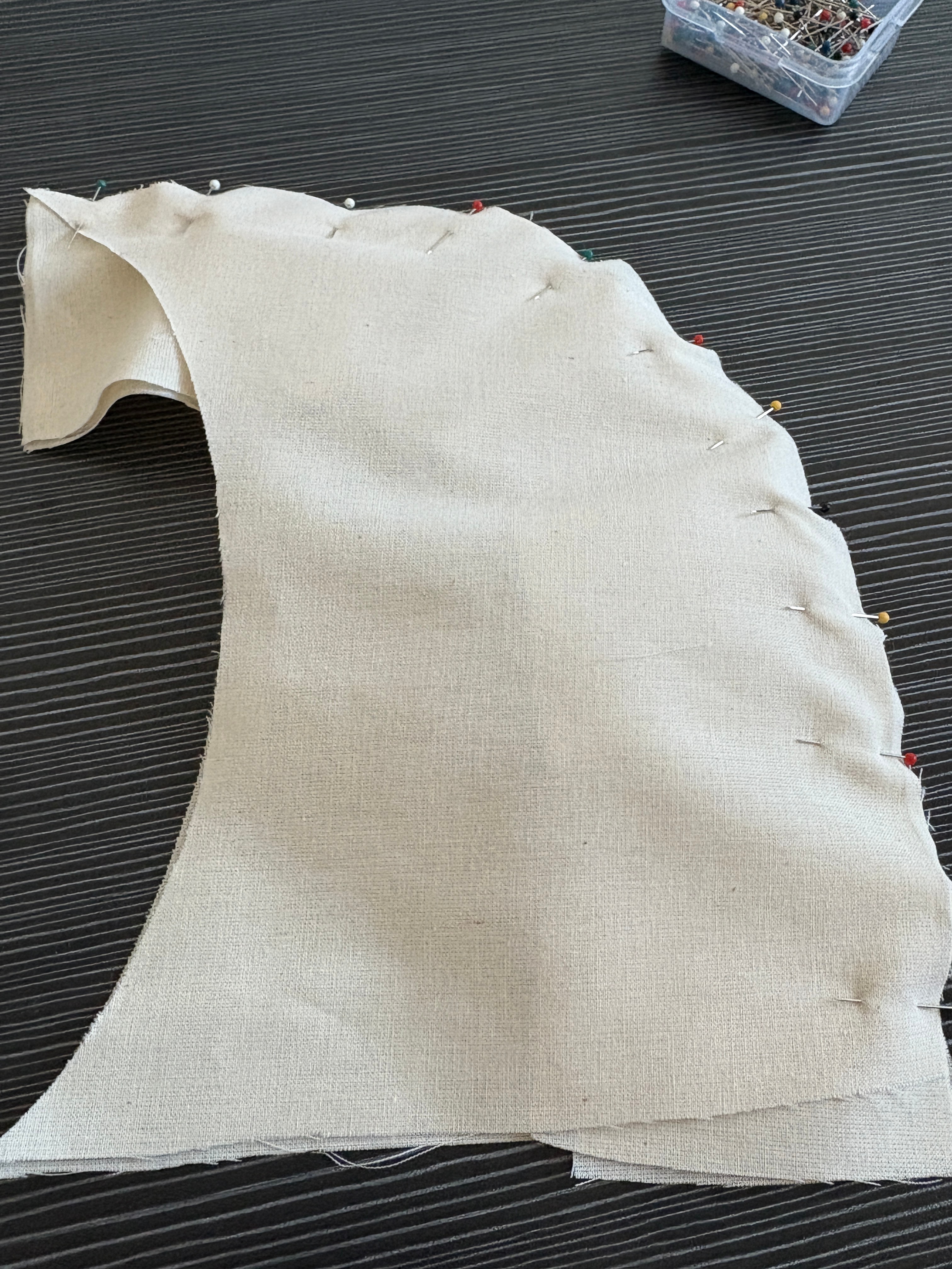 crowd of people on a town square